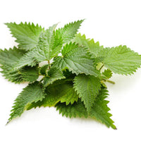 Nettles