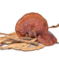 Reishi