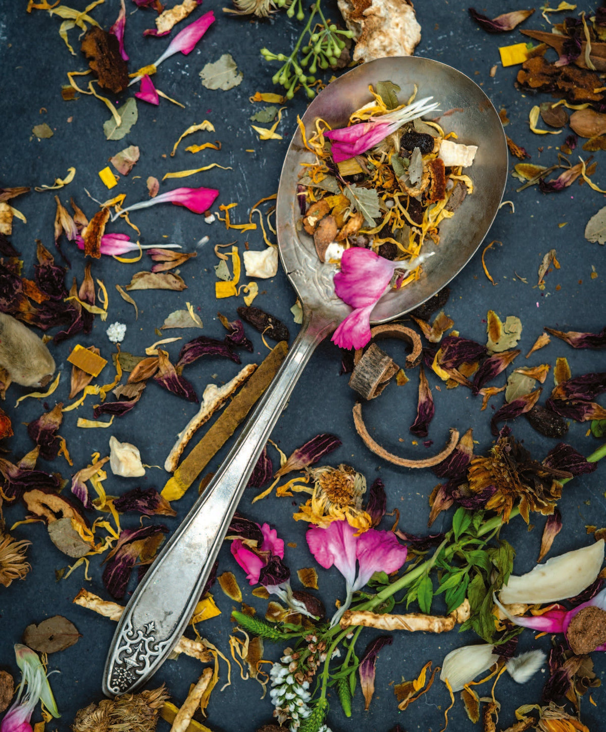 Herbs For Back To School
