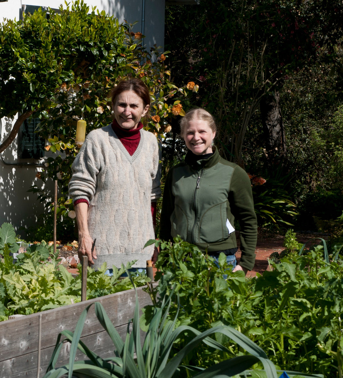 Herbs To Grow, Part 2