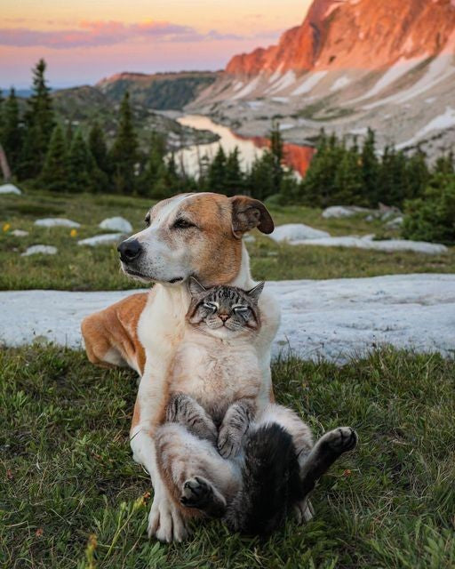 Our Pets Are People Too!