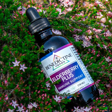 Elderberry Plus for Adults