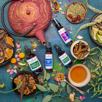 Echinacea Fluid Extract