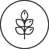 Gluten-free icon