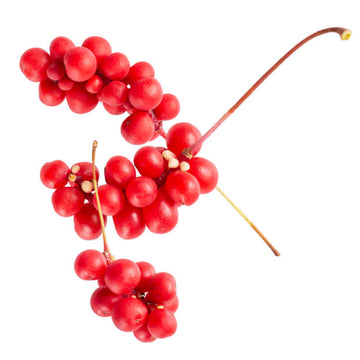 thumbnail image 2 of Organic Schizandra Chinensis 20:1 Extract Powder – 50g, 9% Schisandrin 2 of 6